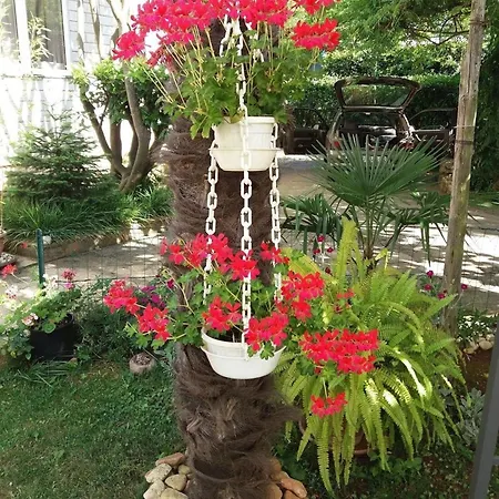 Ivaana Apartmán Rovinj